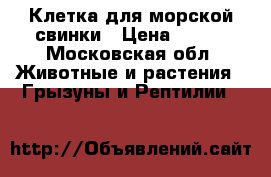 Клетка для морской свинки › Цена ­ 500 - Московская обл. Животные и растения » Грызуны и Рептилии   